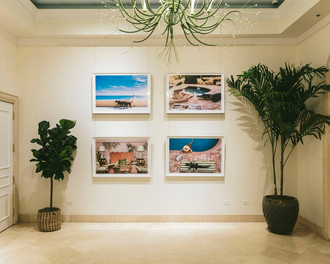 Nick Mele Exhibit at The Colony