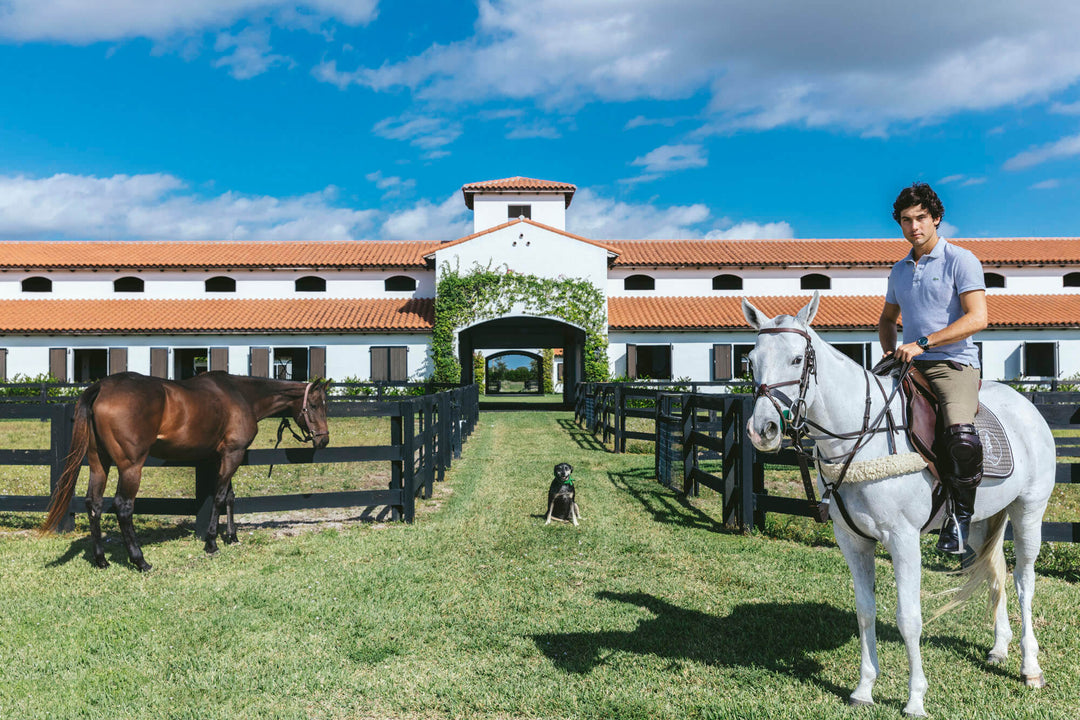 Nick Mele Commissions