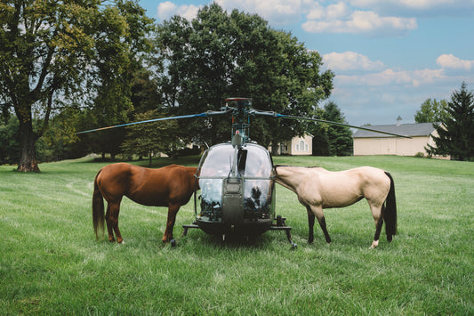 two horses in helicopter