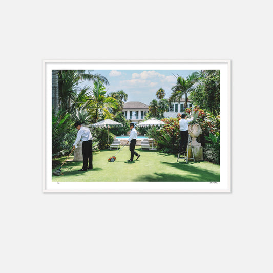 Nick Mele - Landscaping