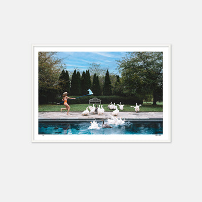 girl chasing geese by the pool