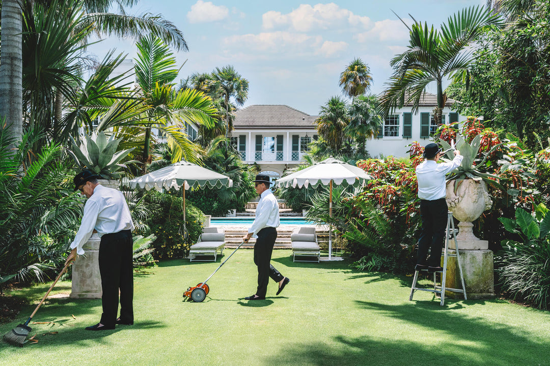 Nick Mele - Landscaping