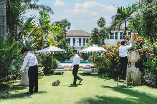 Nick Mele - Landscaping