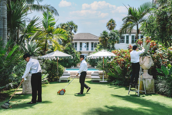 Nick Mele - Landscaping