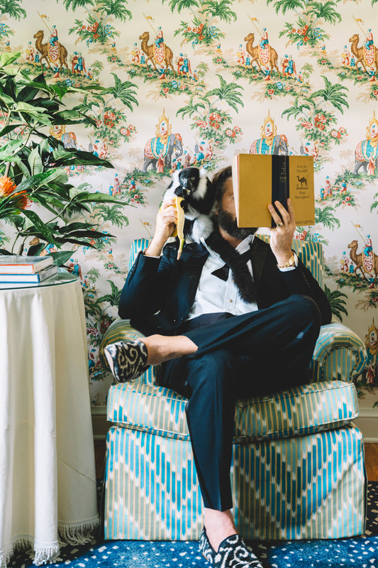 Man on chair with lemur reading book