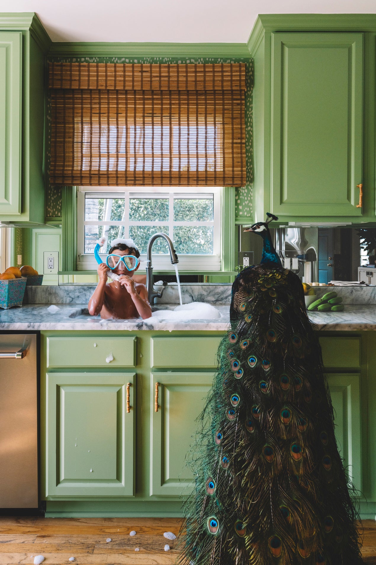 boy in sink with peacock