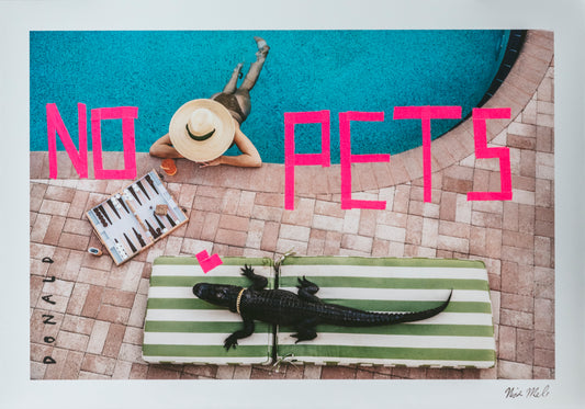 Lizard on a striped towel with 'NO PETS' sign and person by pool