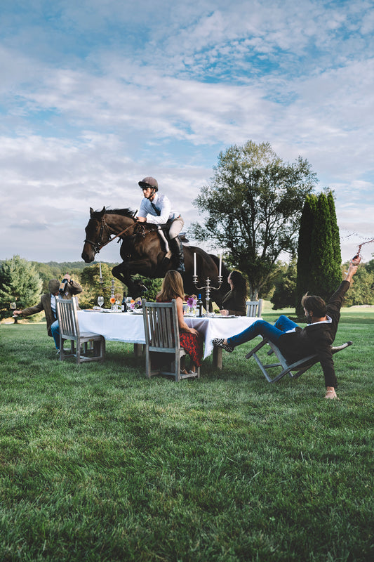 horse jumping over a dining table
