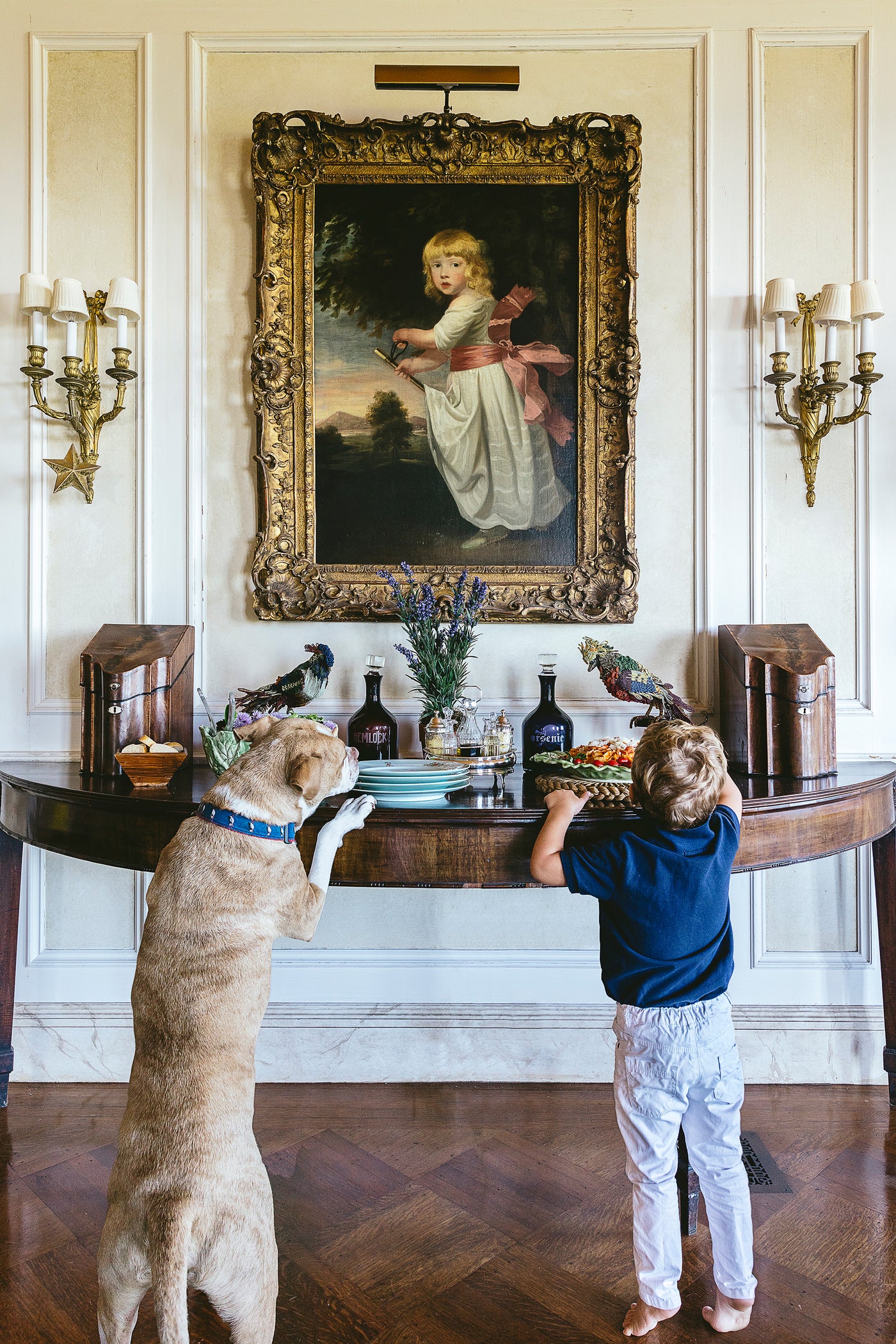 boy and dog at console table taking food. 