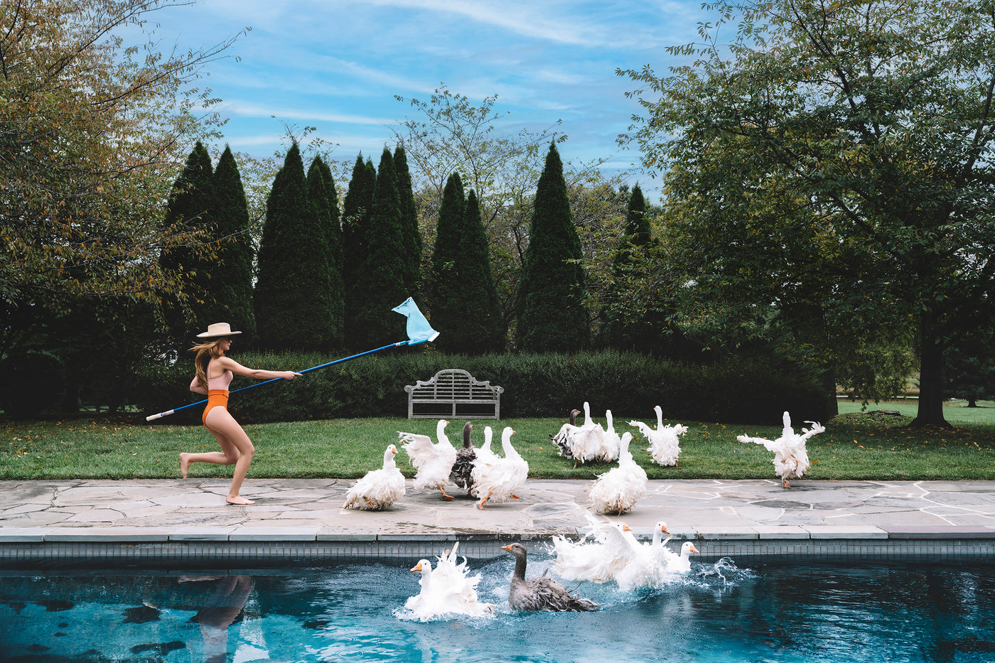 girl chasing geese by the pool