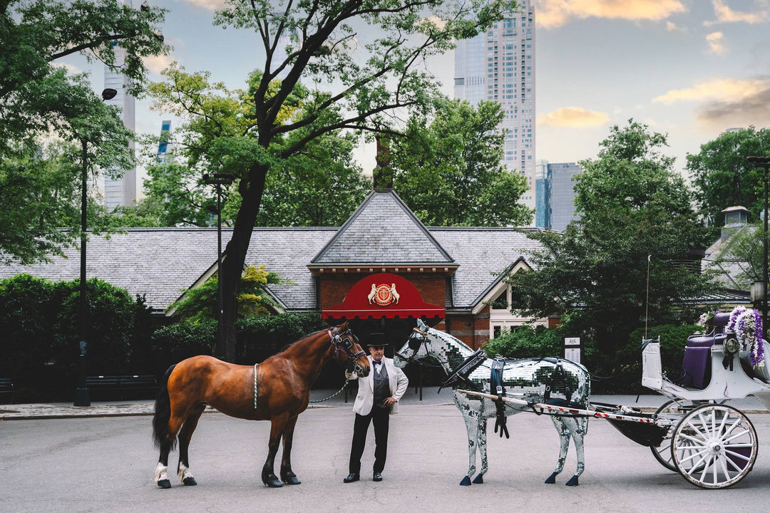 Coachman between a chestnut horse and a mirrored horse carriage at Tavern on the Green. Nick Mele x Bergdorf Goodman