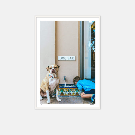 Dog Bar Photography Print by Nick Mele