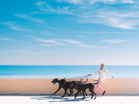 Great dane, great danes, mens pink pants, lilly pulitzer, vinatge lilly pulizer, dog walk, white dinner jacket, palm beach, town of palm beach, gentleman of plam beach, palm beach fashion